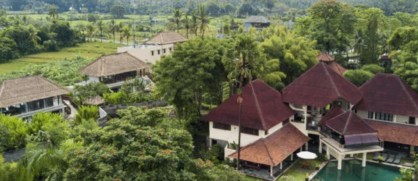 7 Tips for Surviving the Holidays (and Holiday Parties) in Recovery